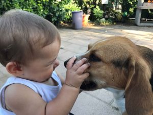 Bambini e cani: benefici per la crescita